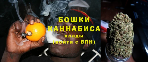 крисы Володарск